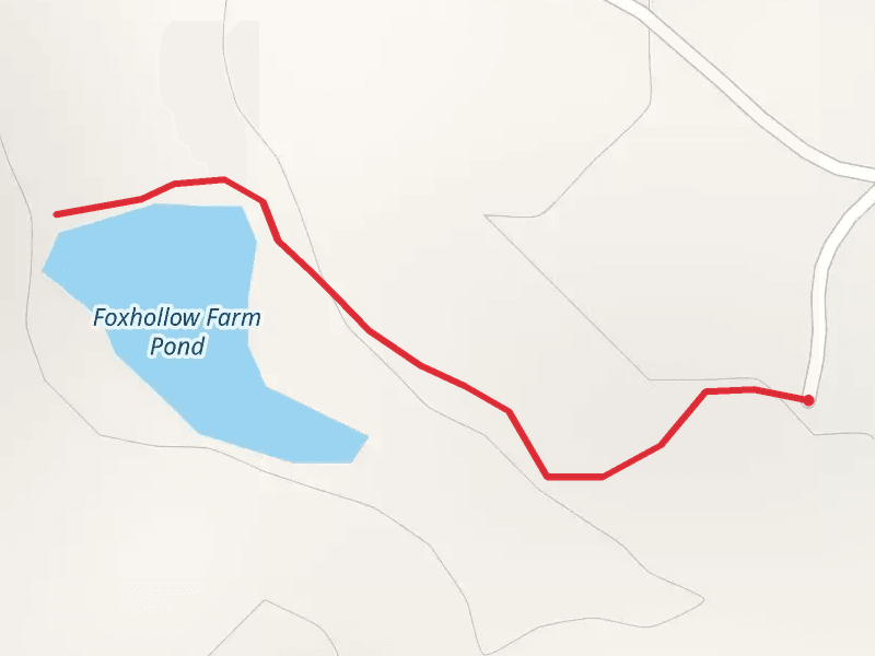 Foxhollow Farm Pond