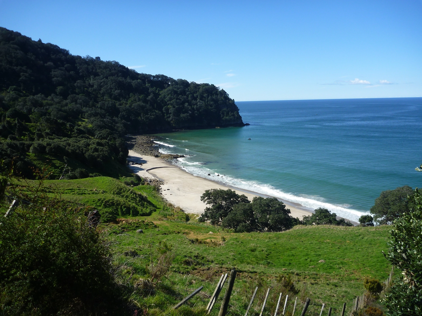 An image depicting the trail Homunga Bay Track to Wright Falls and its surrounding area.