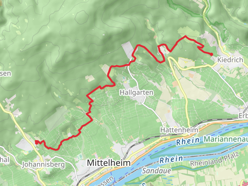 Schlossheide to Kiedrich Walk via Susberg