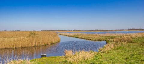 Centrum to Noordwijk via Roderwolderdijk and Groningerweg