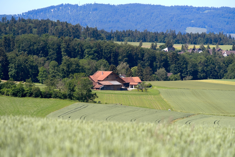 Erlenbach to Küsnacht Trail