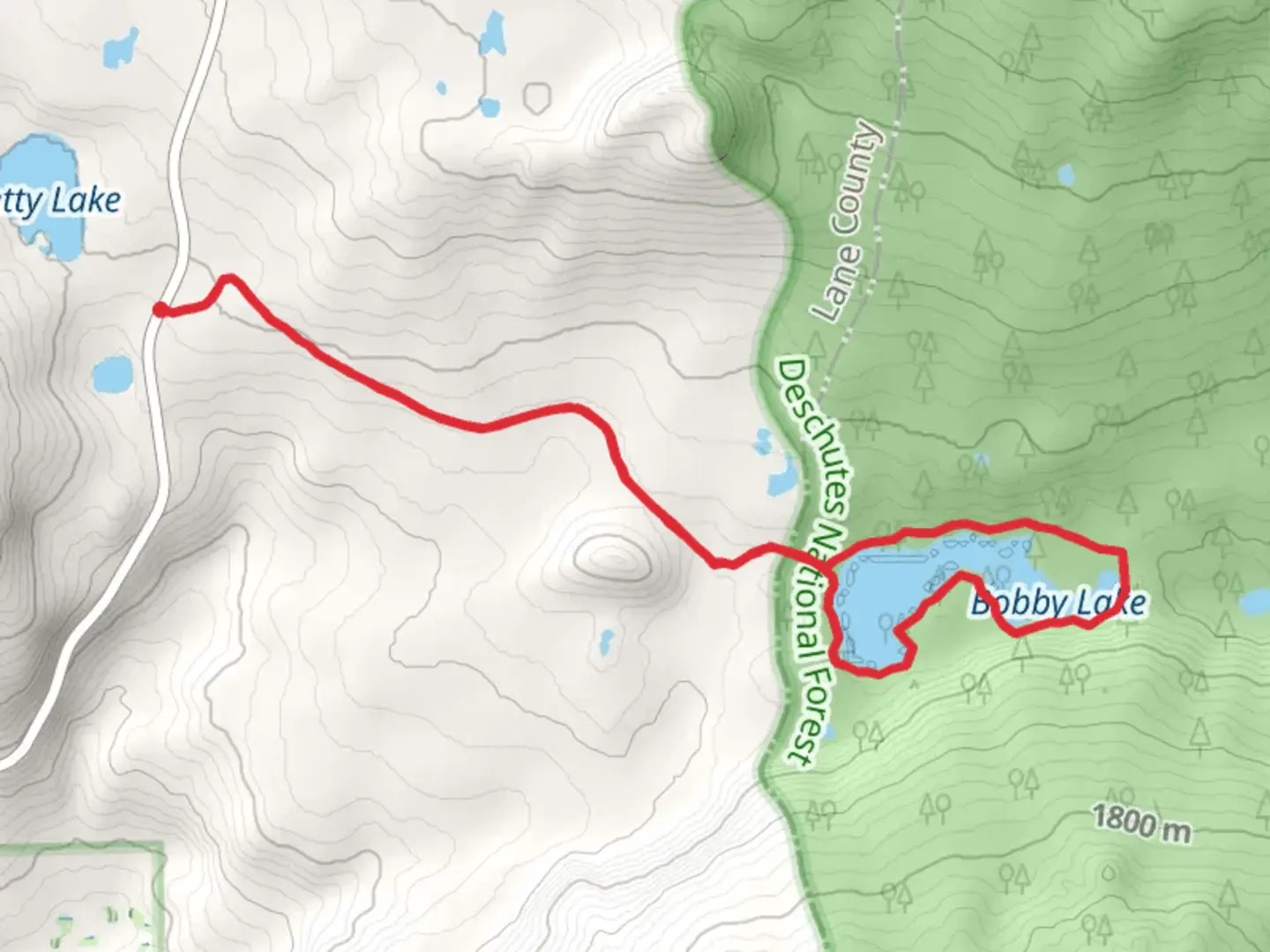 An image depicting the trail Bobby Lake Loop and its surrounding area.