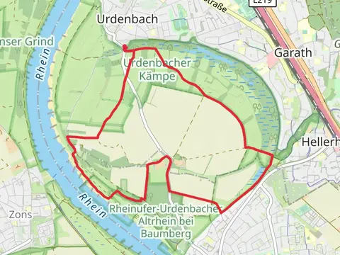 Blick in den alten Rhein Loop