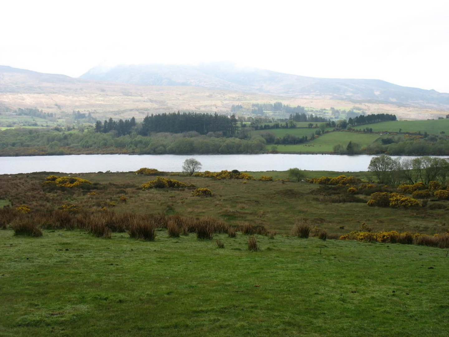 An image depicting the trail Crohane Mountain Loop and its surrounding area.