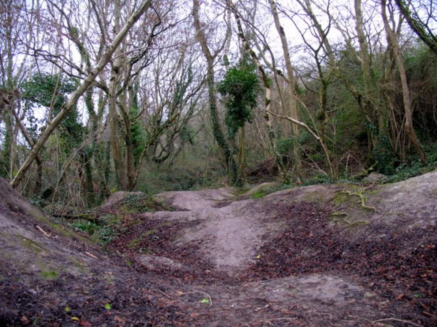 An image depicting the trail River Medlock Walk - Manchester Piccadilly and its surrounding area.