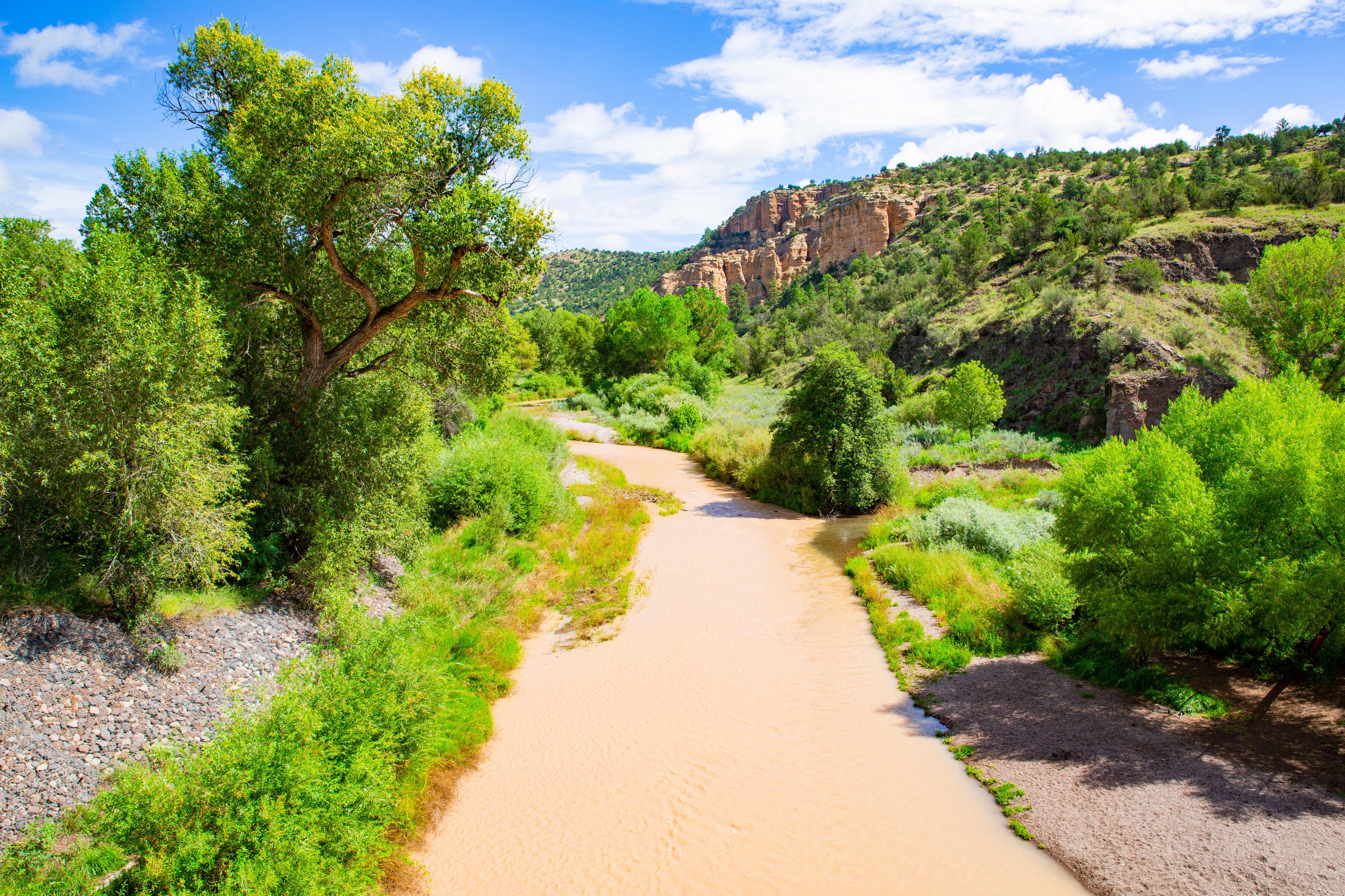 An image depicting the trail Gila National Forest and its surrounding area.