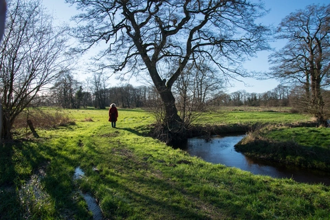 Boswachterij Hooghalen and Amerdiep via Melkwegpad