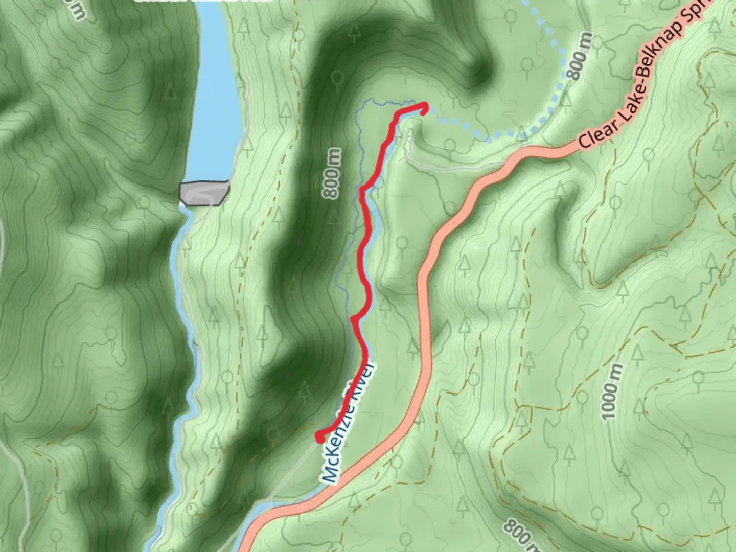 An image depicting the trail Tamolitch Blue Pool via McKenzie River Trail and its surrounding area.