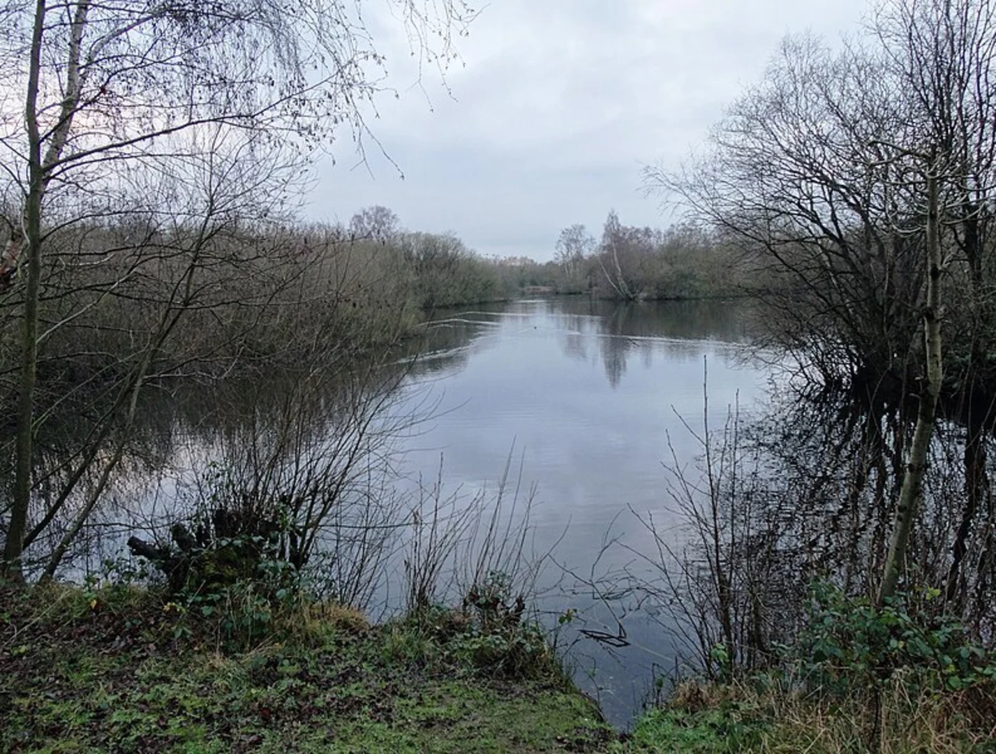 An image depicting the trail Daneshill Lakes Loop and its surrounding area.