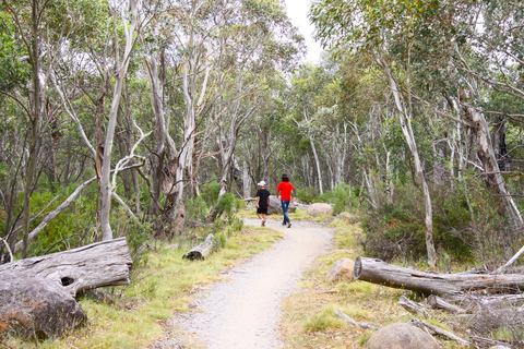 Bundilla Accessible Track