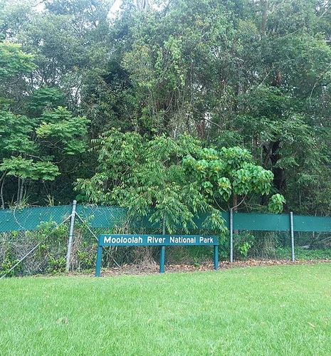 Aemula Trail