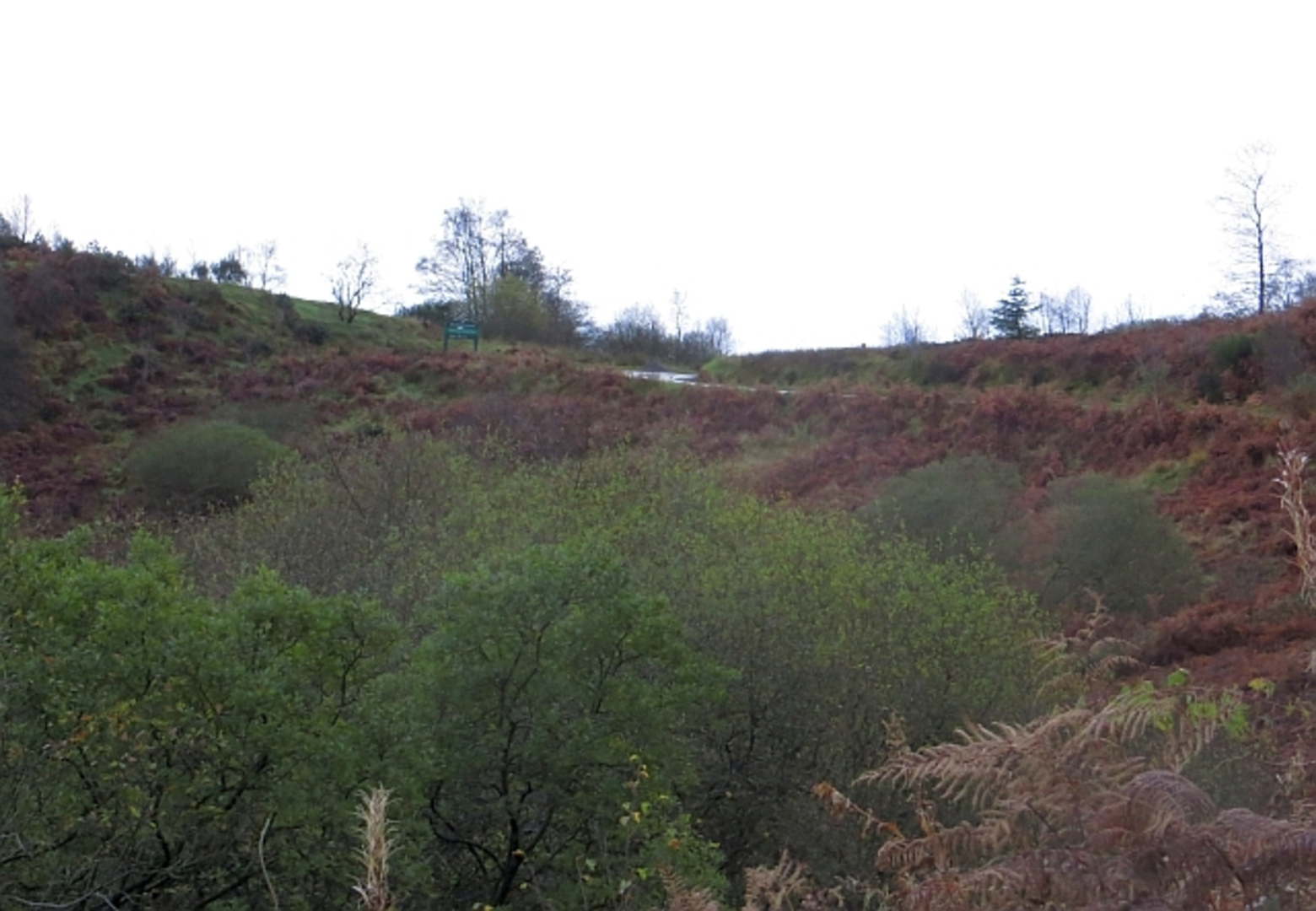An image depicting the trail Lime Craig Loop Trail and its surrounding area.