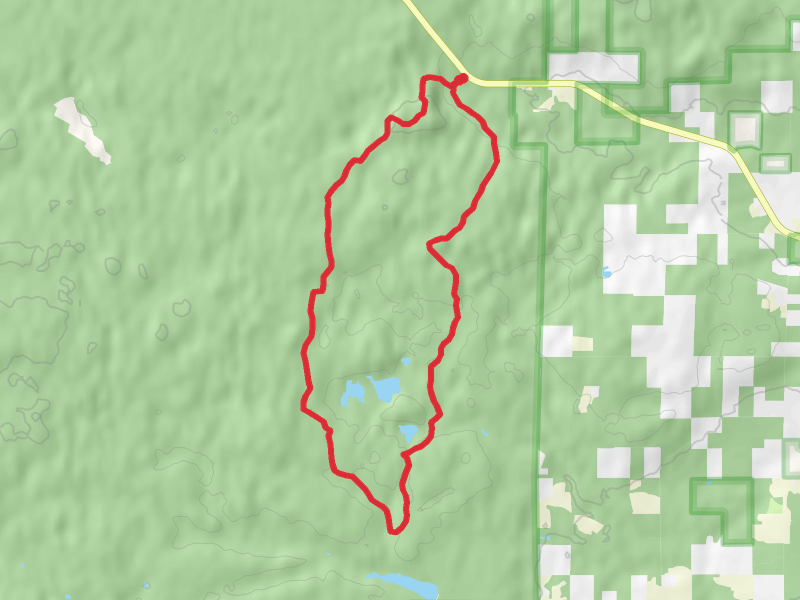 Valhalla Trail