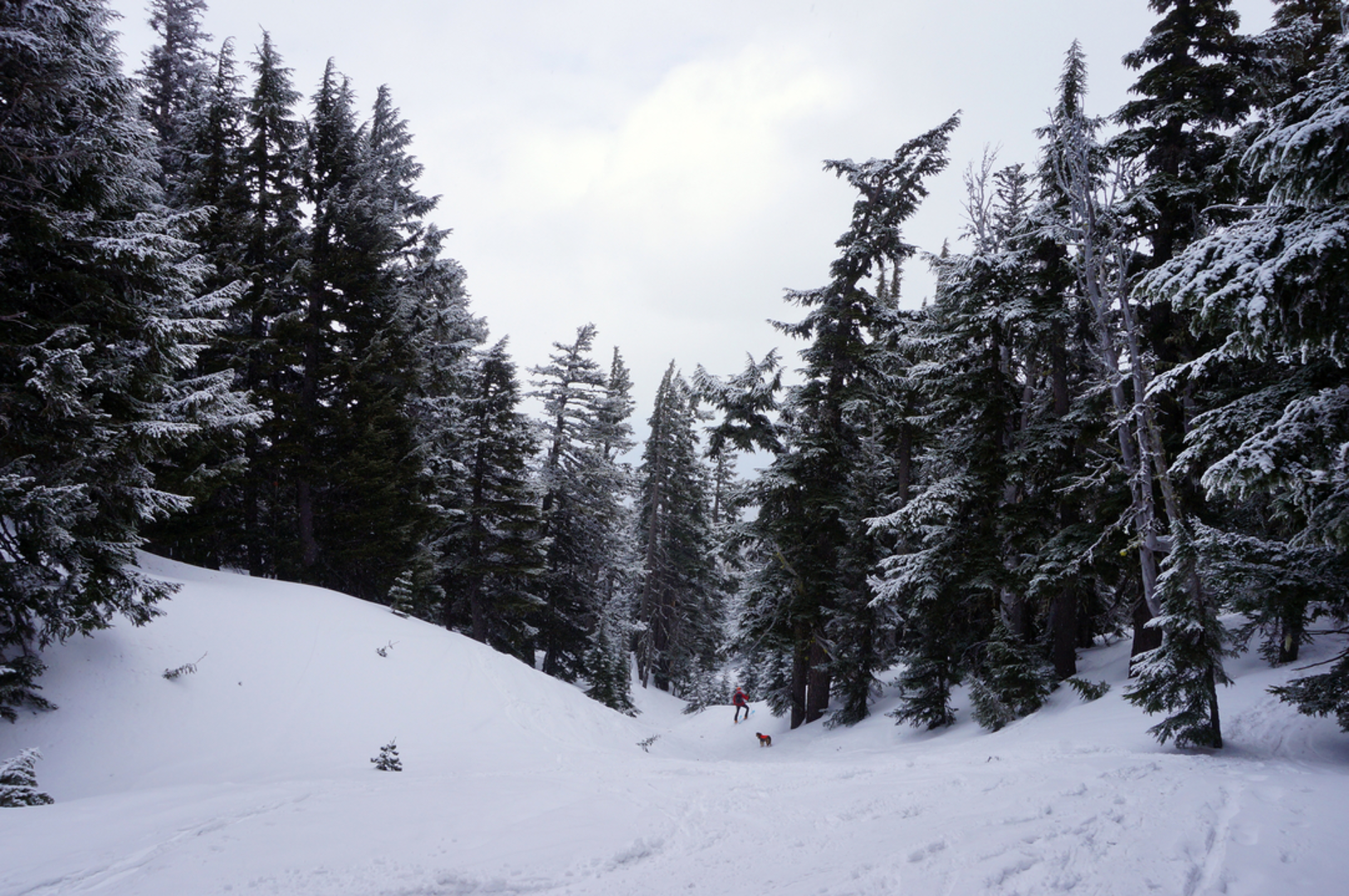 An image depicting the trail Tilly Jane Trail and its surrounding area.