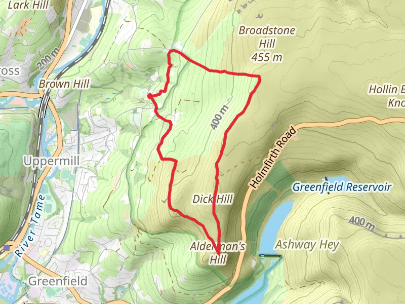 Primrose Hill, Dick Hill and Board Hill Loop