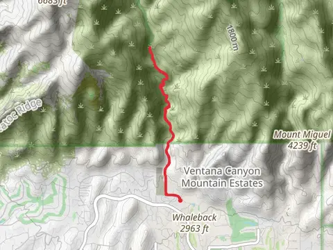 Maiden Ponds via Ventana Trail