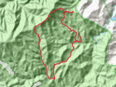 Mount Sterling Trail, Pretty Hollow Gap Trail and Little Cataloochee Trail Loop