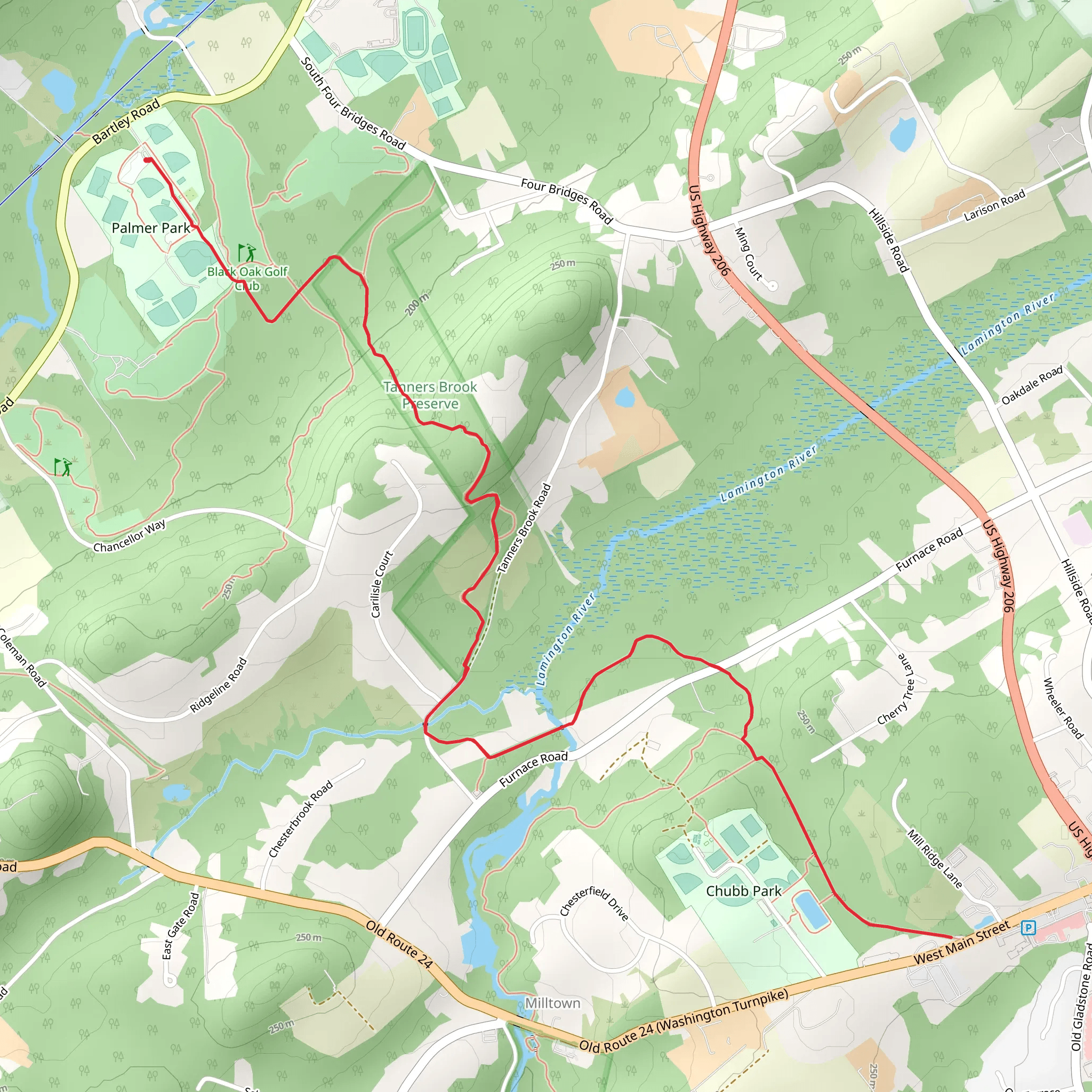 Patriots' Path and Palmer Path | Morris County | New Jersey