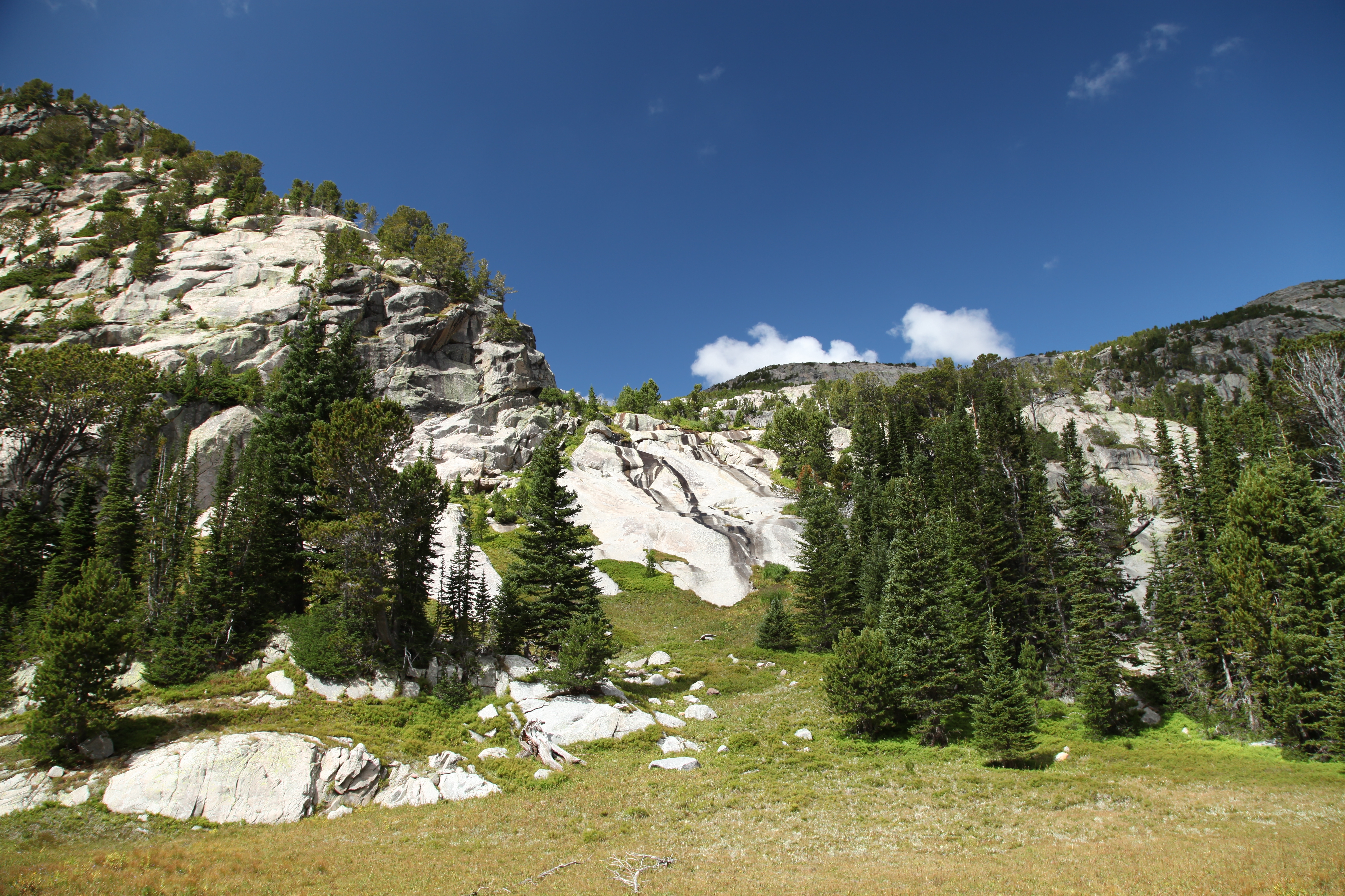 An image depicting the trail Custer Gallatin National Forest and its surrounding area.