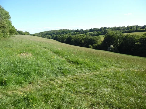 The Lee Country Park from Cholesbury
