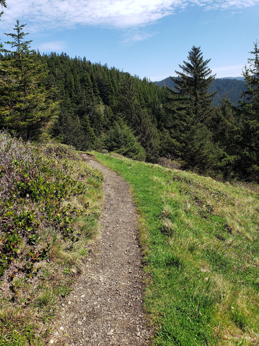 Willey Range Loop