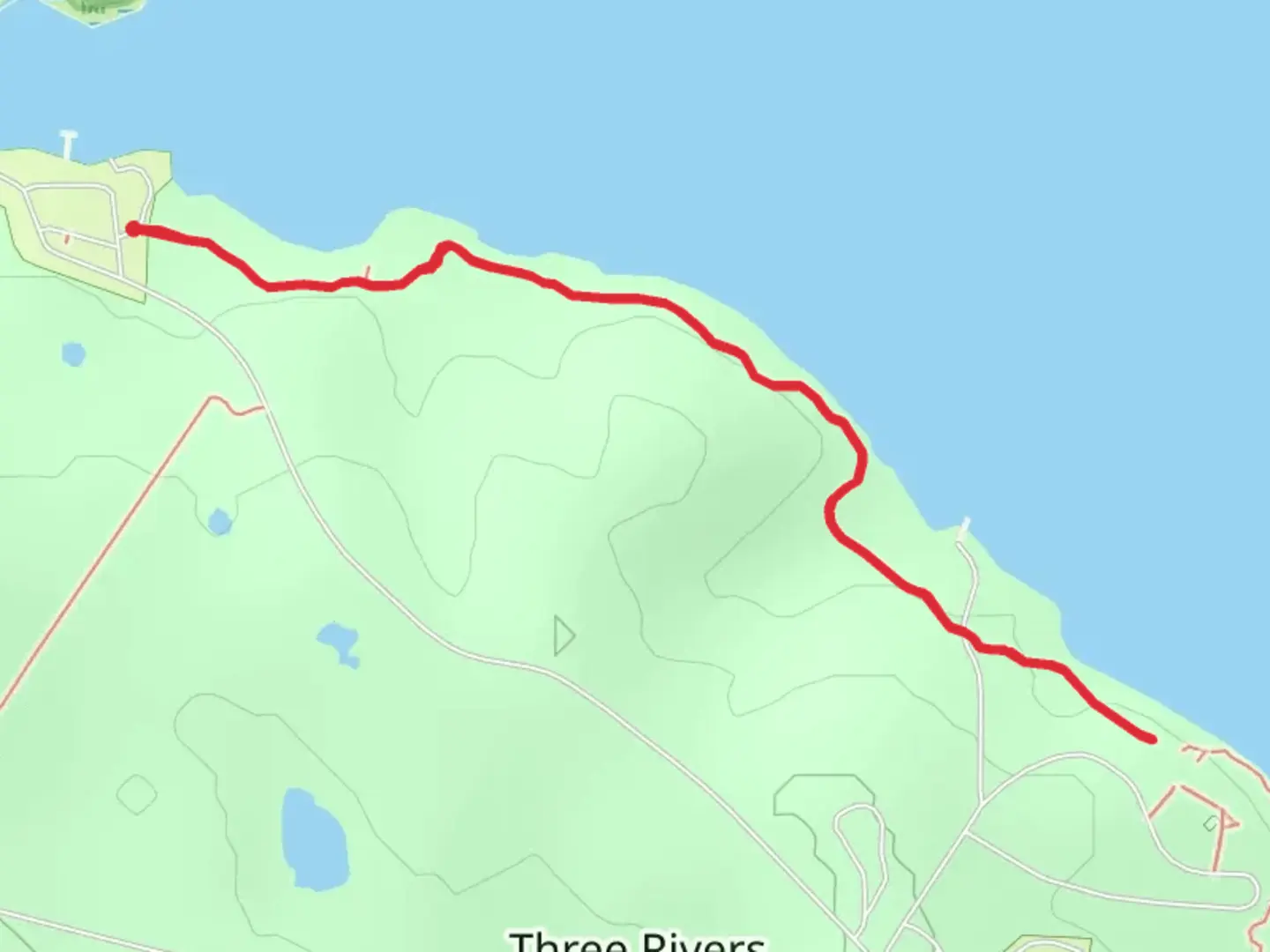 An image depicting the trail Lakeview Trail - Lake Seminole and its surrounding area.
