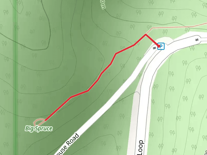 Cape Meares Loop Road