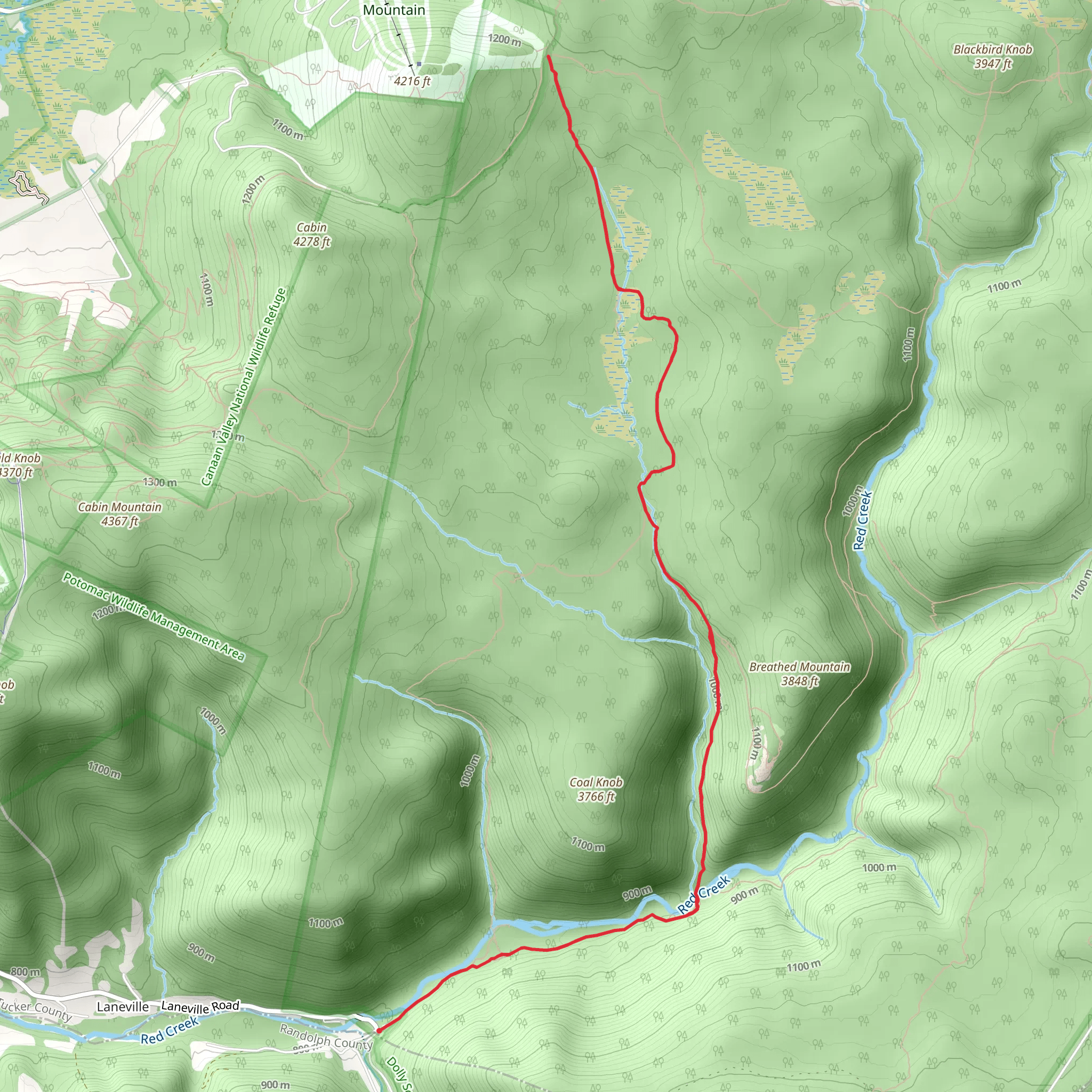 Red Creek and Dolly Sods Wilderness mobile static map
