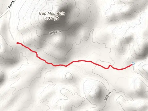 Mule Ears Trail Short