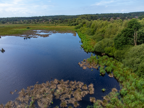 Postelse Heide, Borkelsche Heide and Bergerheide Loop