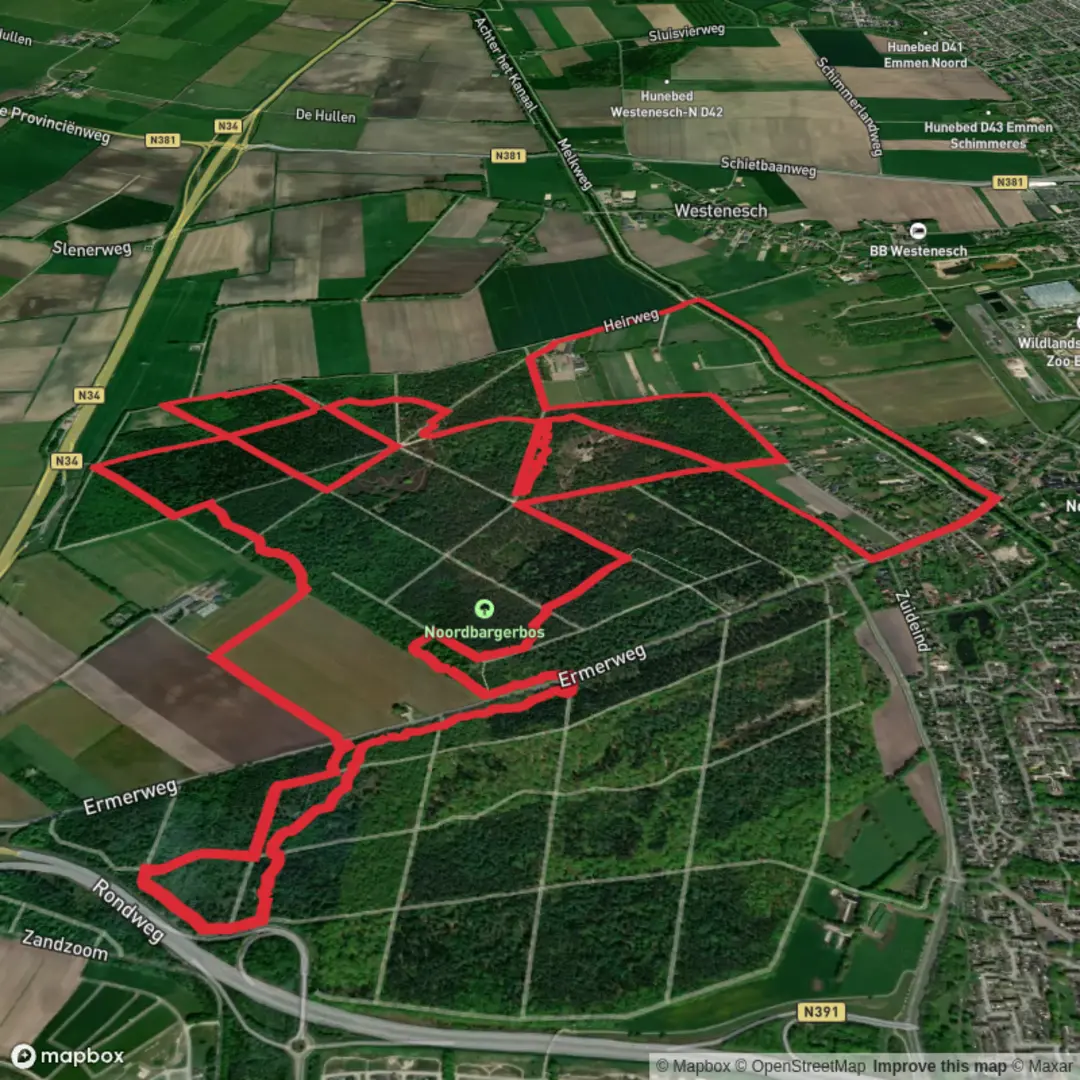 An image depicting the trail Noordbargerbos Loop and its surrounding area.