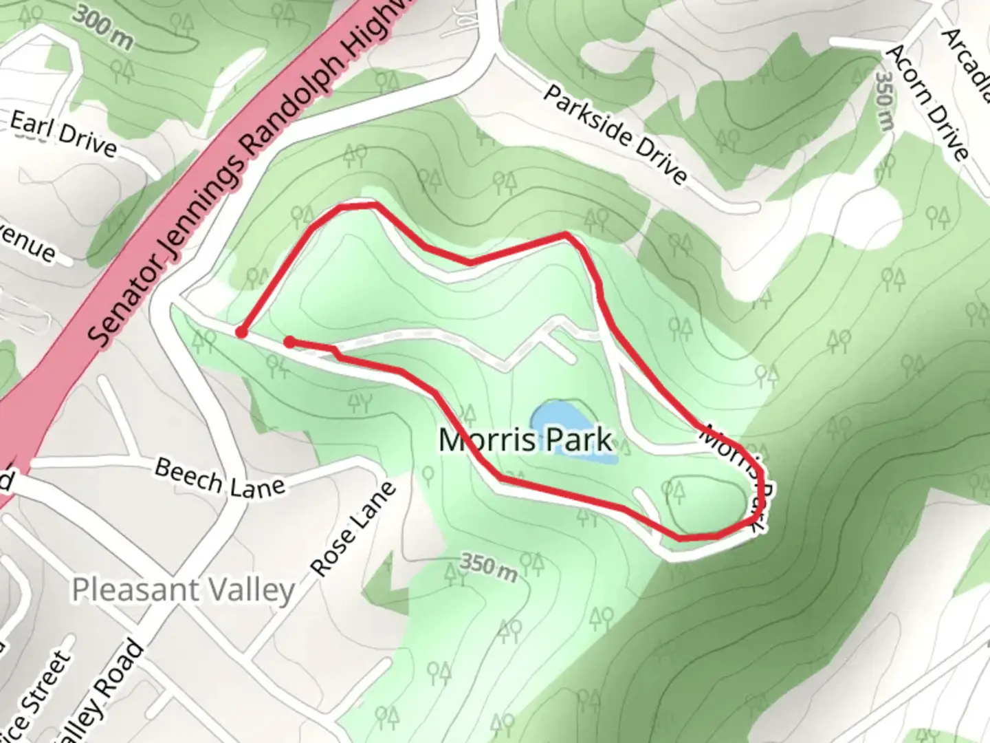 An image depicting the trail Morris Park Loop and its surrounding area.
