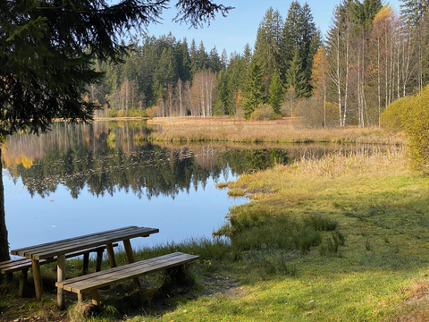 Rosenhof Ponds Loop