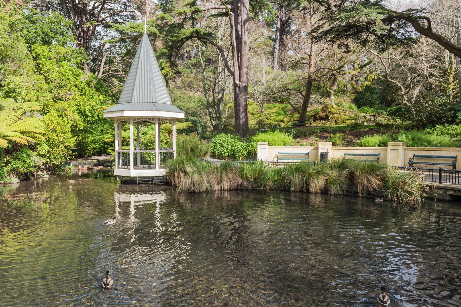 An image depicting the trail Wellington Botanic Garden and its surrounding area.