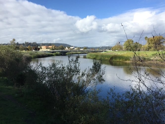 San Lorenzo River and Eagle Creek via River Trail Pedestrian