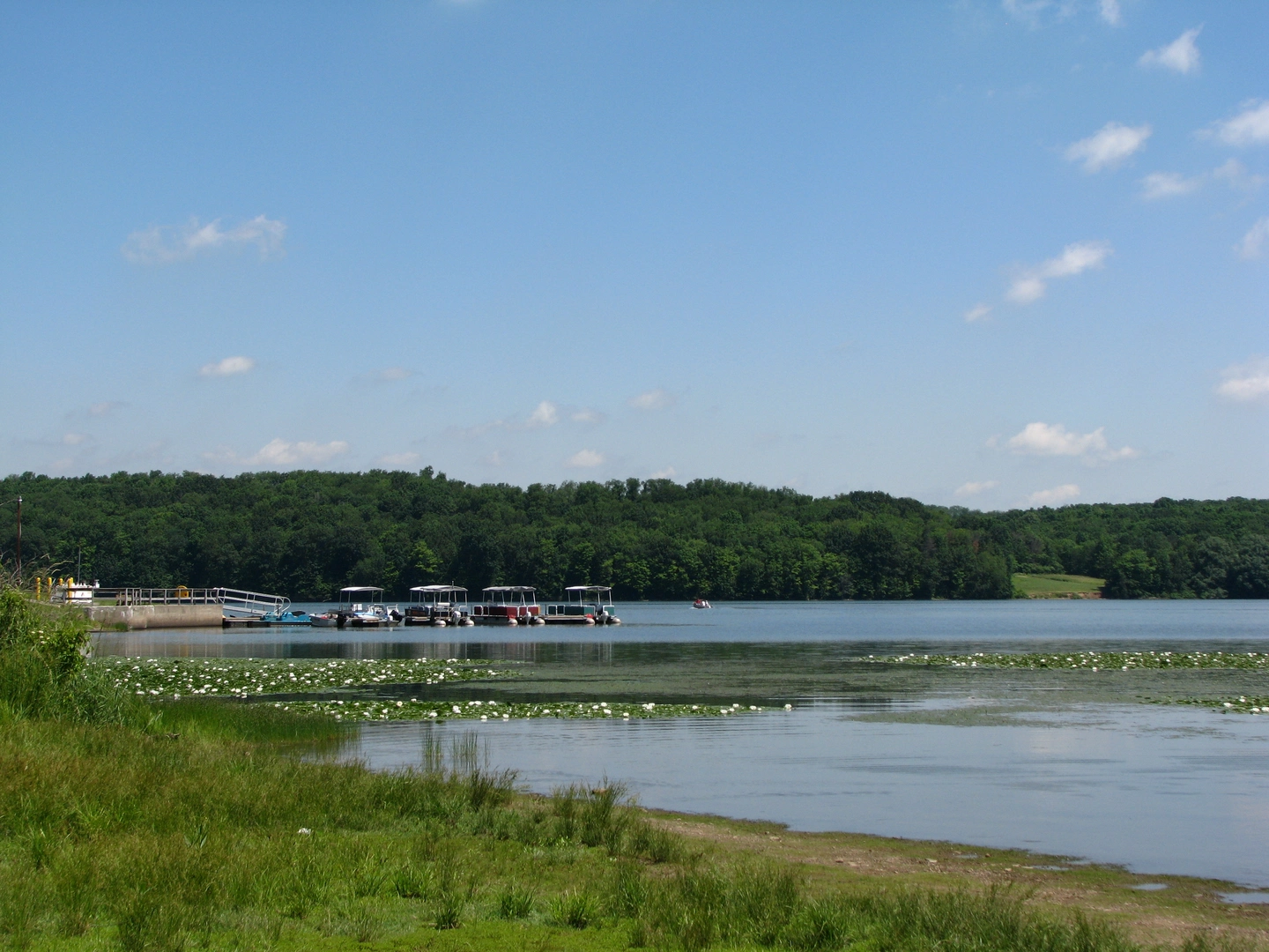 An image depicting the trail Yellow Creek Lake Loop via Damsite Trail and its surrounding area.
