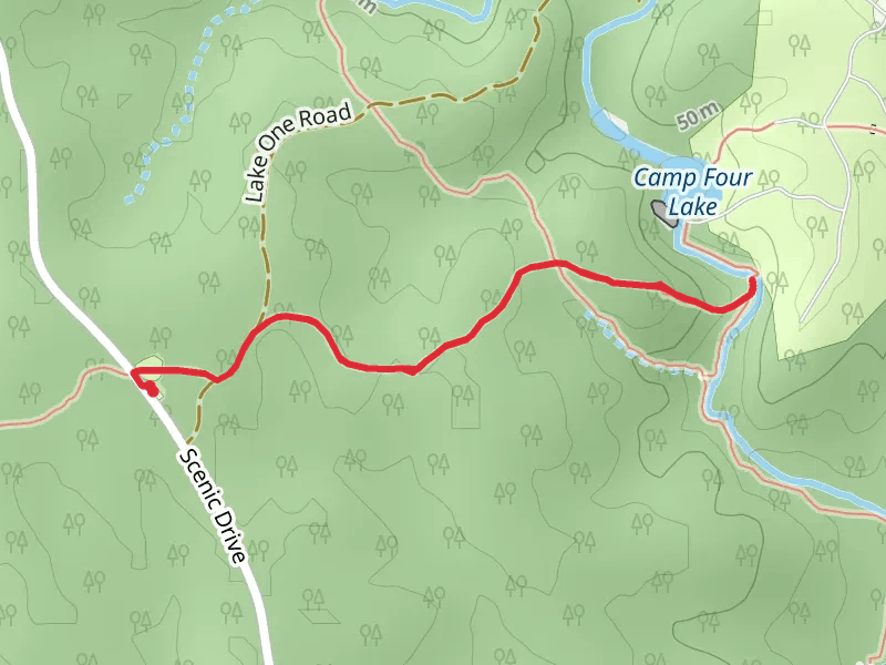 Camp Four Lake and Quantico Cascades Trail
