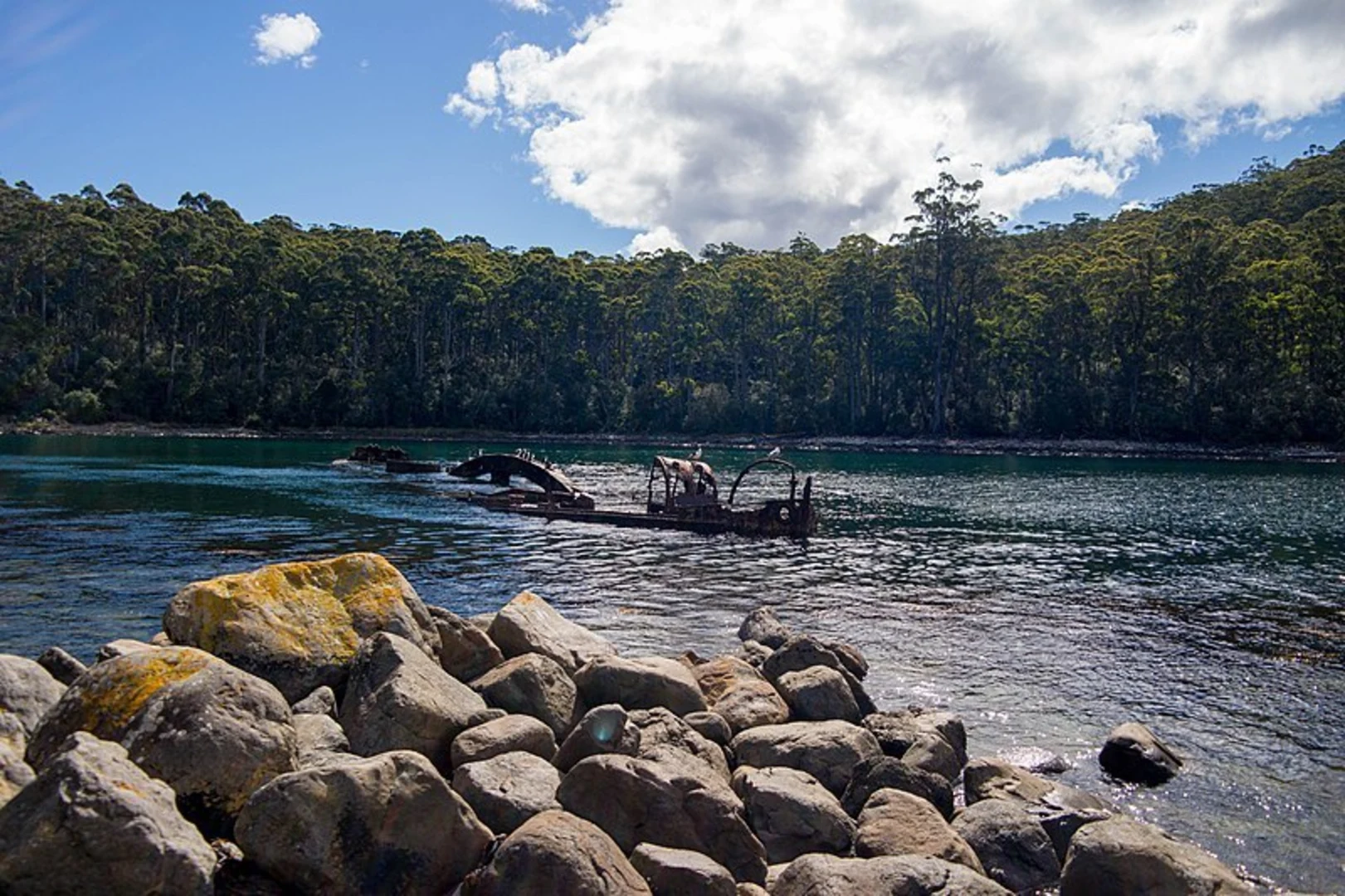 An image depicting the trail Tasman Coastal Trail and its surrounding area.