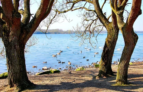 Hollins Green to Golborne Walk