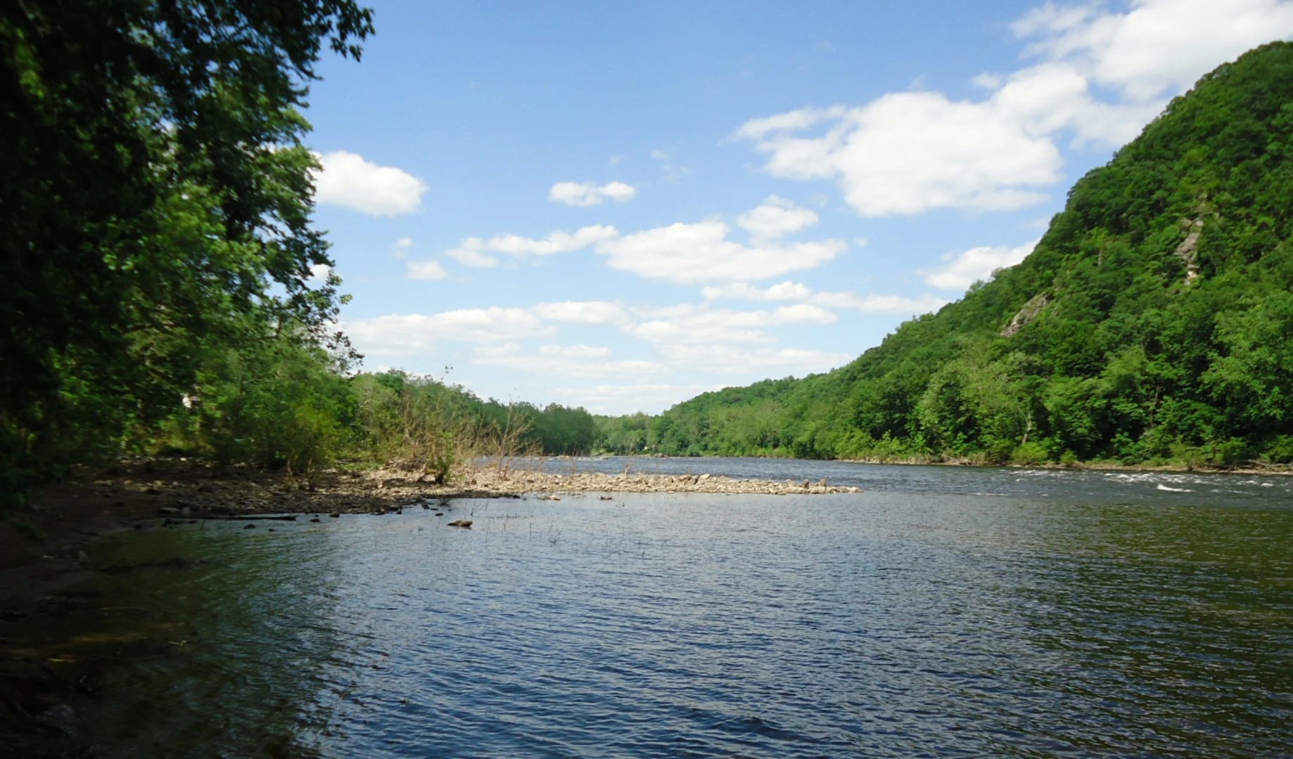 An image depicting the trail McDade Recreational Trail via Delaware River and its surrounding area.