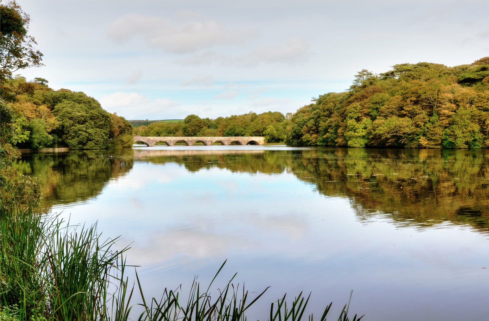 An image depicting the trail Bosherston Ponds - Stackpole Head and Broad Haven Dunes and its surrounding area.