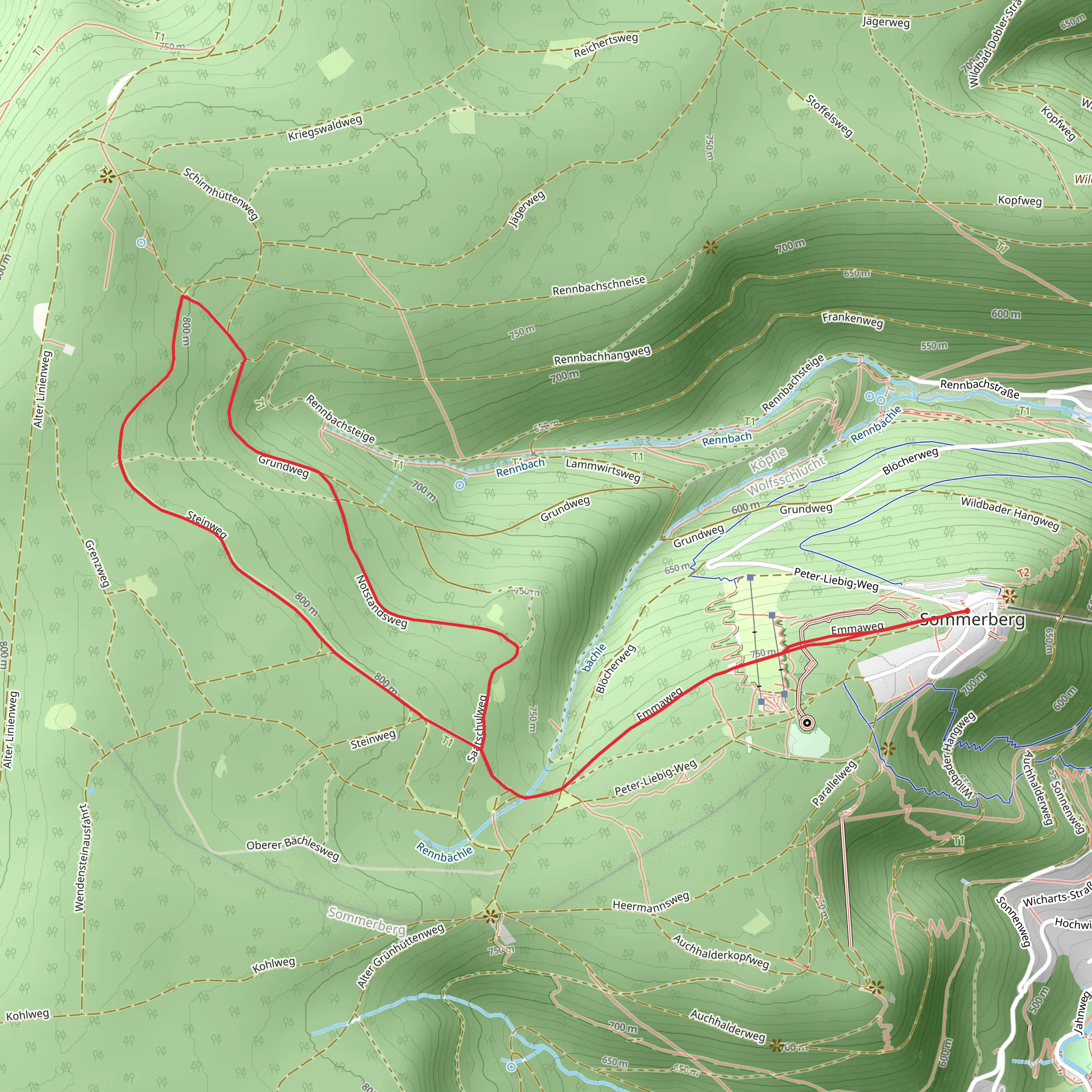 Wendenstein via Notstandsweg mobile static map