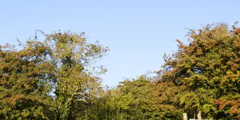 Johnson Silver Lincs Way