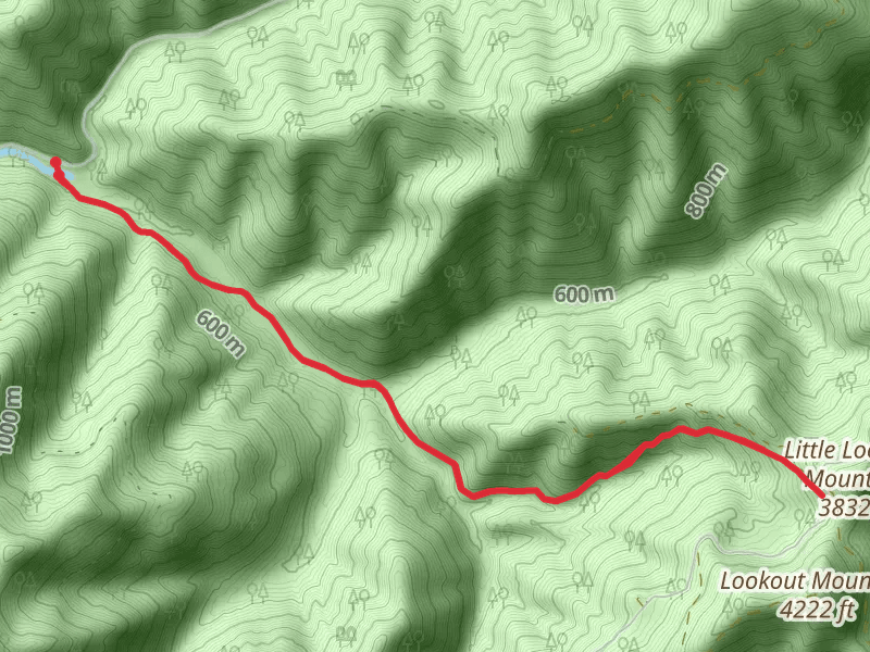 Little Lookout Mountain via East Fork Trail