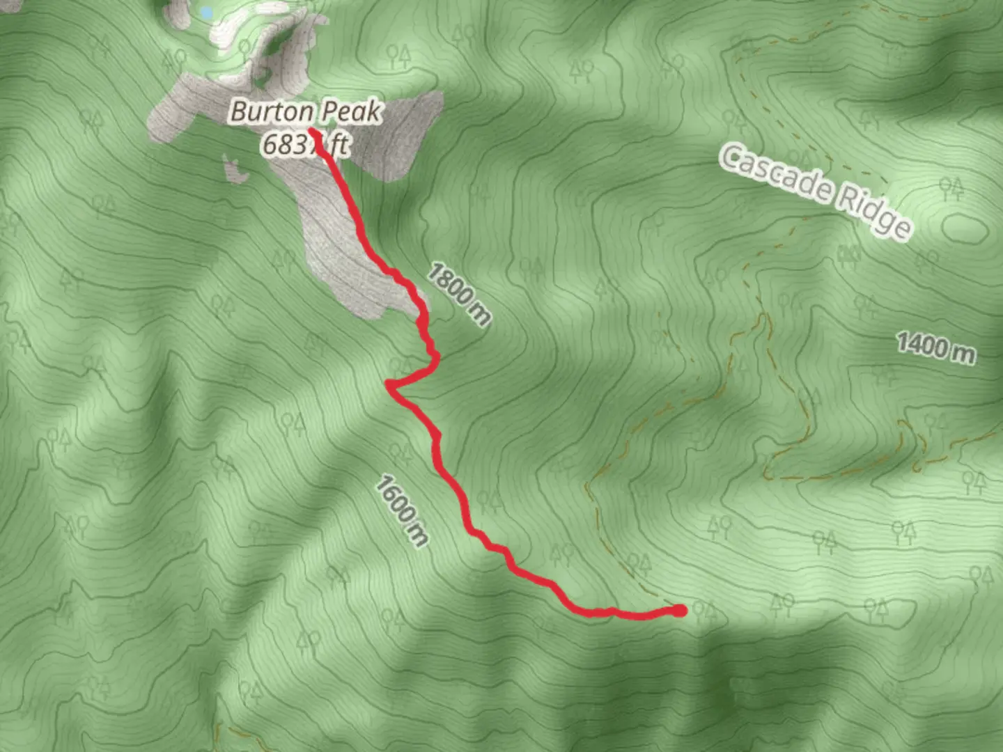 An image depicting the trail Burton Peak and its surrounding area.