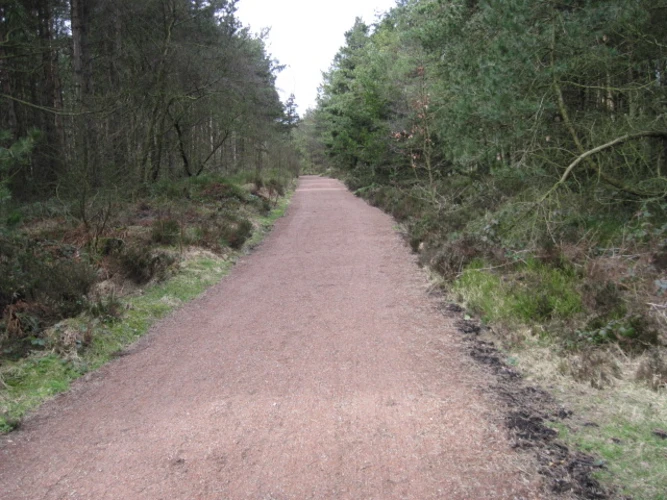 Lady Canning's Plantation Walk