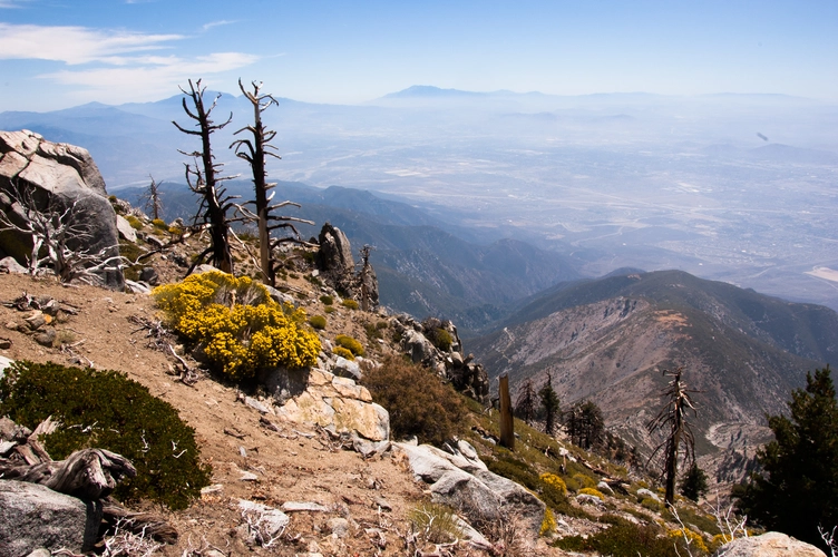 Cucamonga Peak via Middle Fork Trail