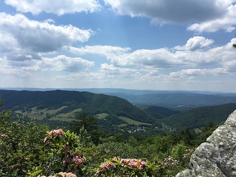 Salt Pond Ridge Trail