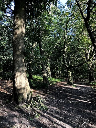 Alderley Edge to Mottram St Andrew Loop via Castle Rock