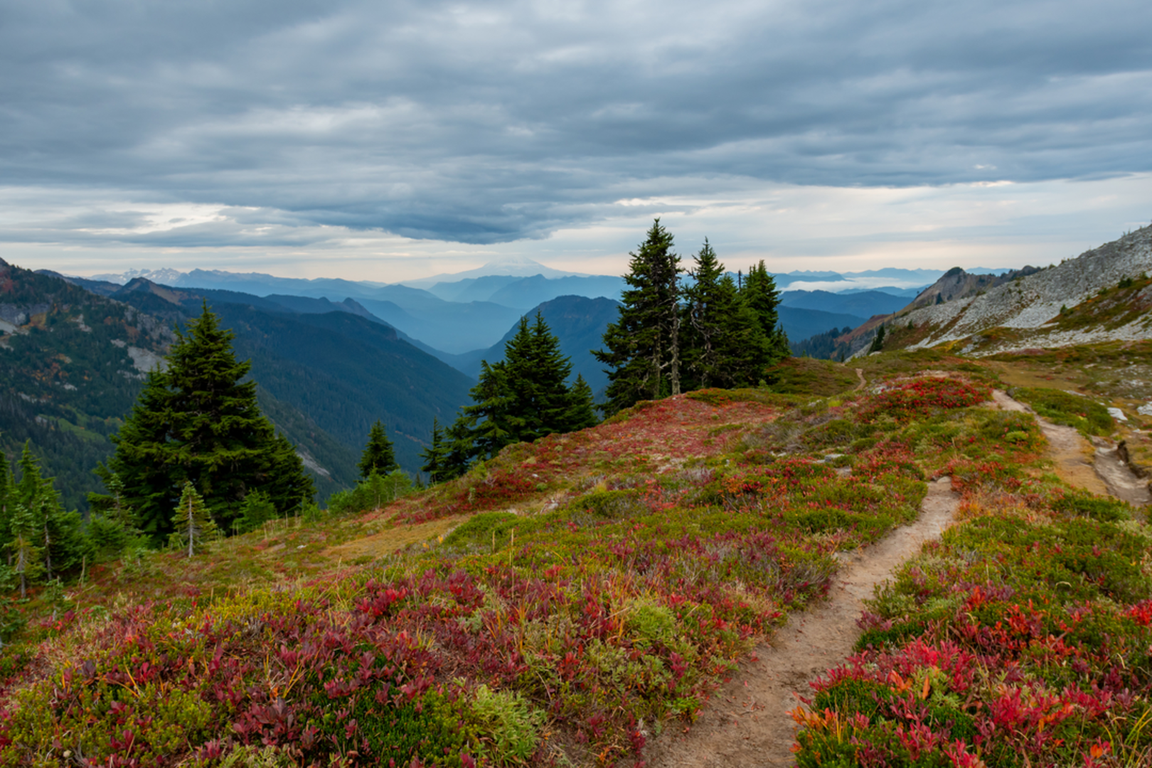 An image depicting the trail Tatoosh Lookout Trail and its surrounding area.